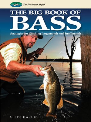 cover image of Big Book of Bass